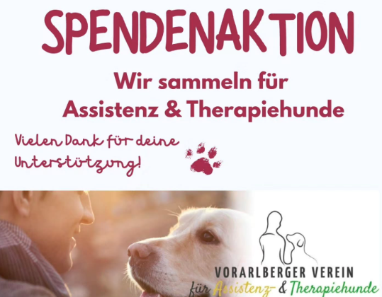 Flyer zur Spendenaktion für Assistenz- und Therapiehunde des Vorarlberger Vereins mit Hundeporträt und Logo der d'Süosslar