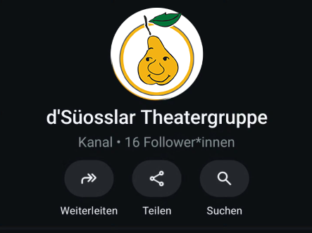 Screenshot des WhatsApp-Kanals von d'Süosslar Theatergruppe Dornbirn mit Logo, 16 Follower*innen und Kurzbeschreibung